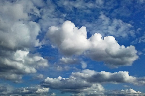 Кракен даркнет что известно