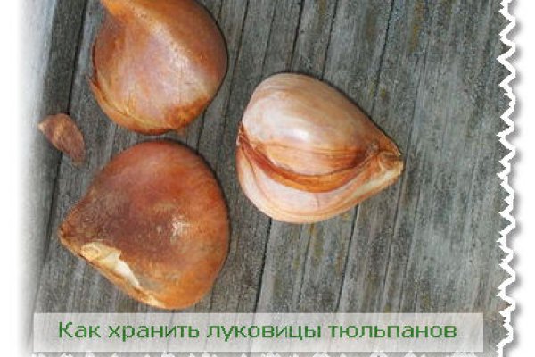 Кракен зайти