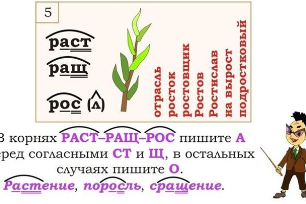 Кракен почему пользователь не найден