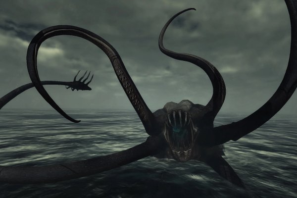 Kraken place