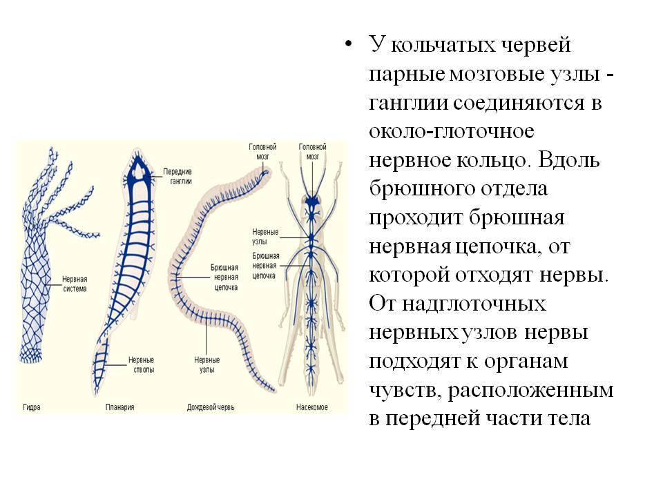 2krn cc официальный