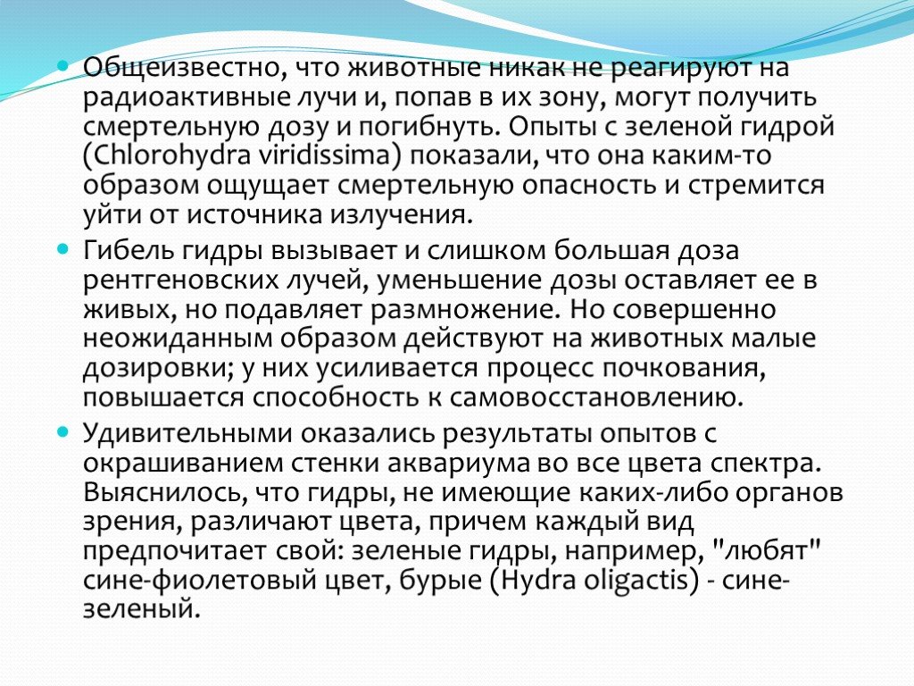 Где найти ссылку на кракен